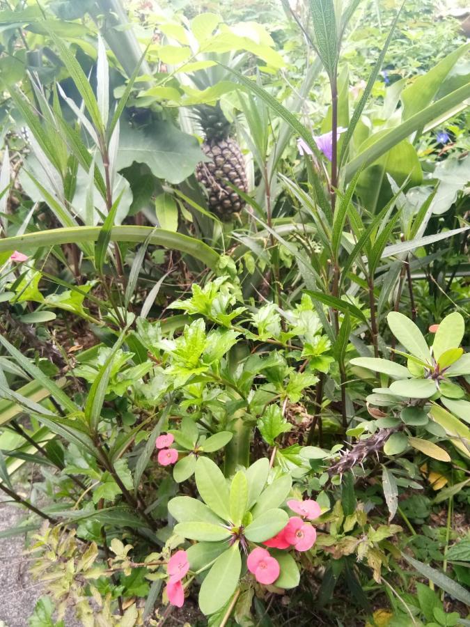 4 Seasons Mini House Hotel Nakhon Si Thammarat Exterior foto