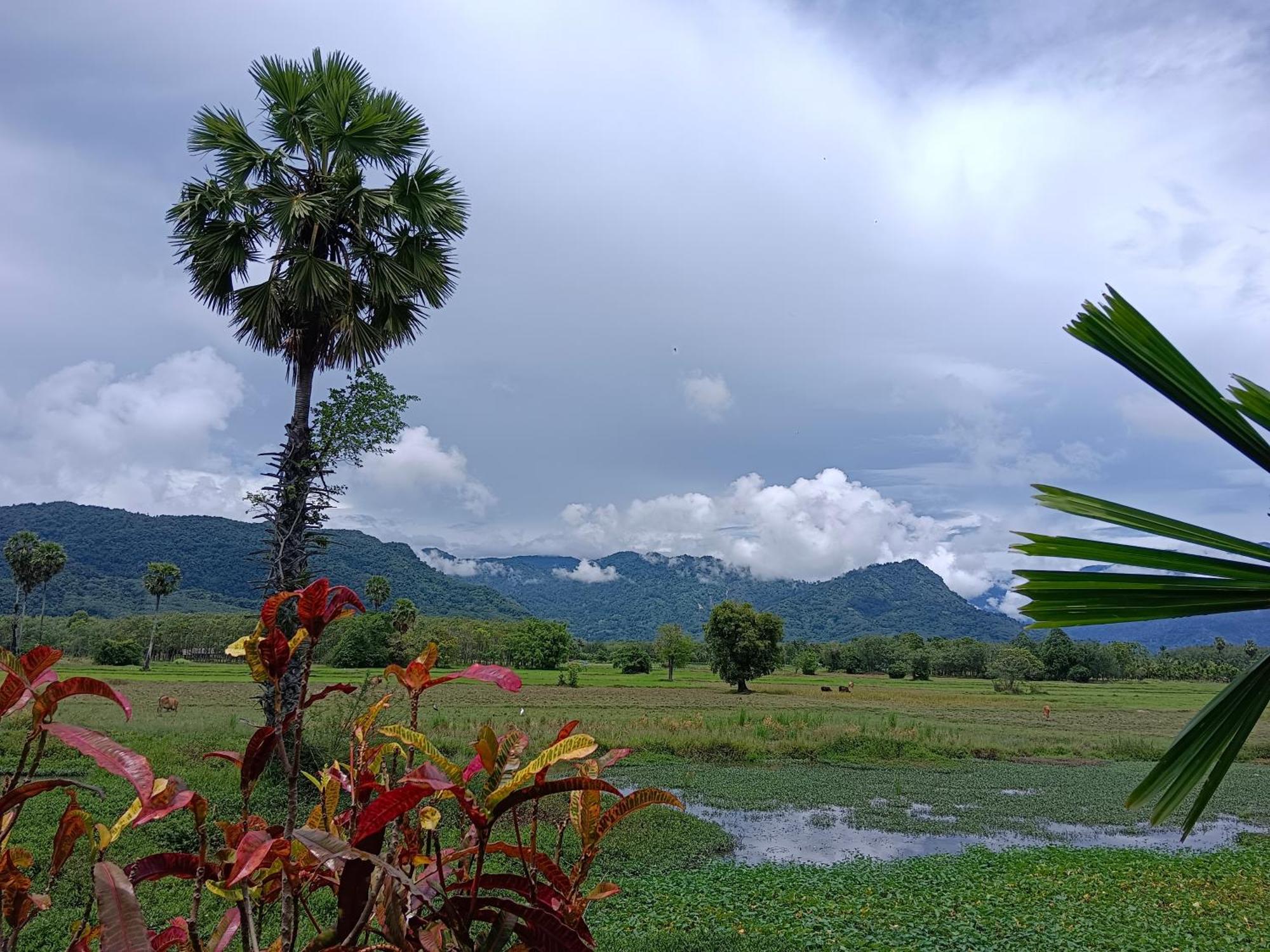 4 Seasons Mini House Hotel Nakhon Si Thammarat Exterior foto
