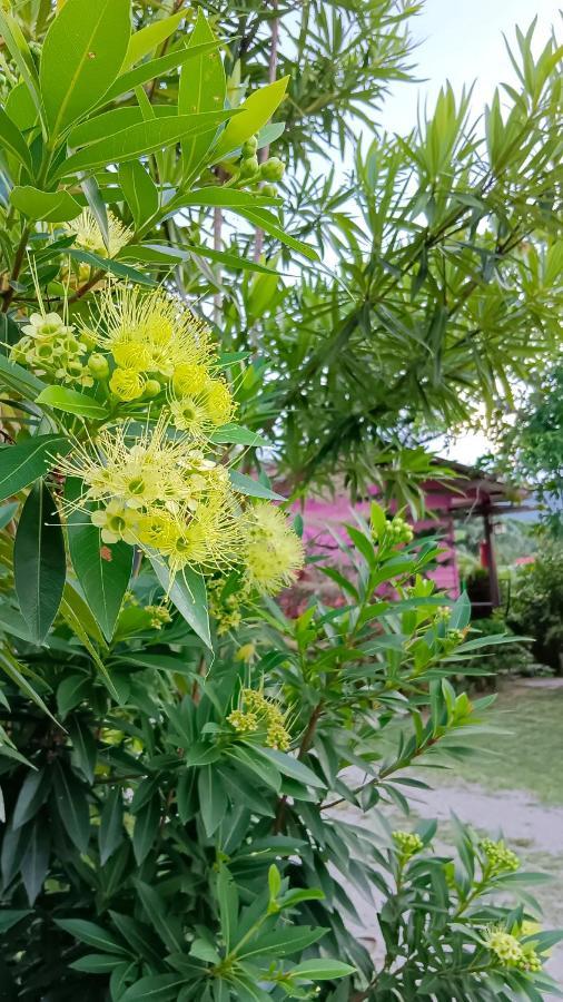 4 Seasons Mini House Hotel Nakhon Si Thammarat Exterior foto